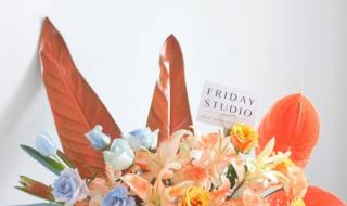 密西根碎冰蓝渐变玫瑰 密西根碎冰蓝渐变玫瑰